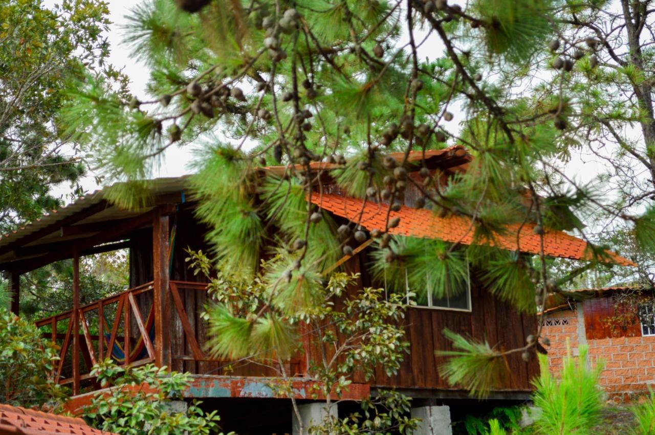 Hotel Y Restaurante Las Margaritas Perquín Εξωτερικό φωτογραφία